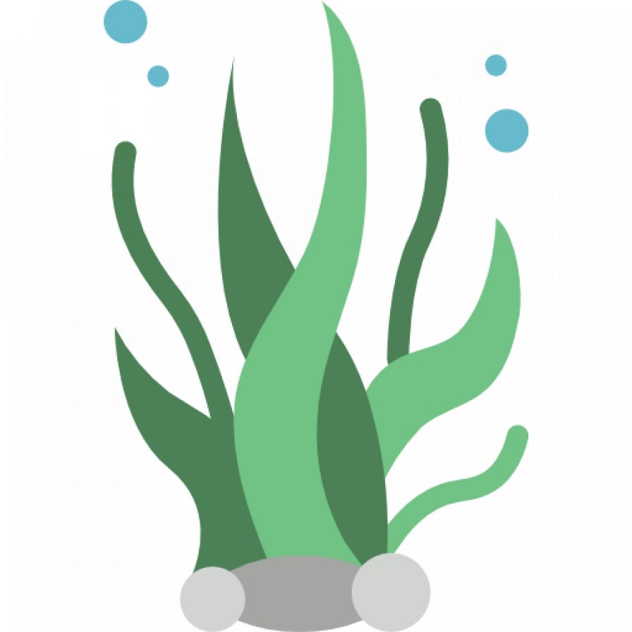 zeewier icon (2)